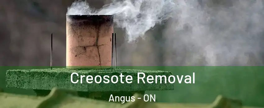  Creosote Removal Angus - ON