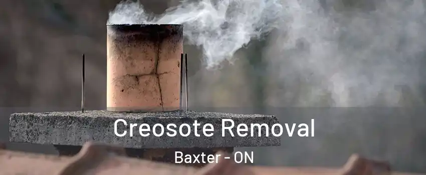  Creosote Removal Baxter - ON