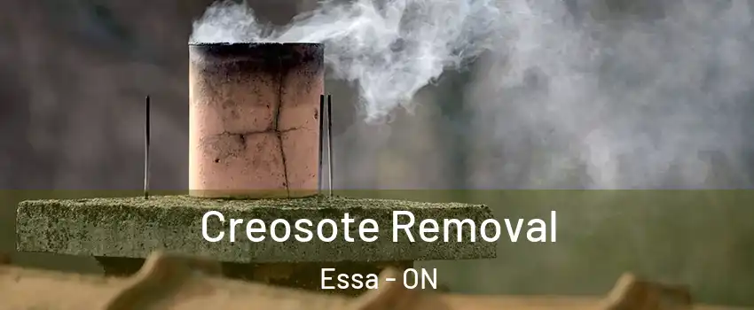  Creosote Removal Essa - ON