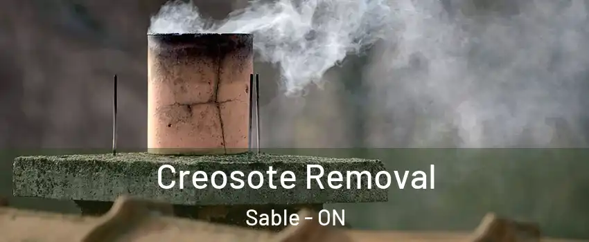  Creosote Removal Sable - ON