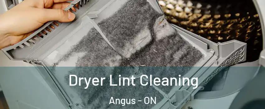  Dryer Lint Cleaning Angus - ON