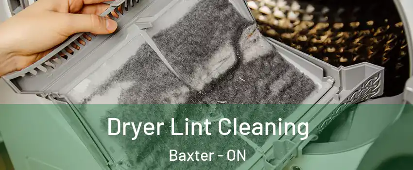  Dryer Lint Cleaning Baxter - ON