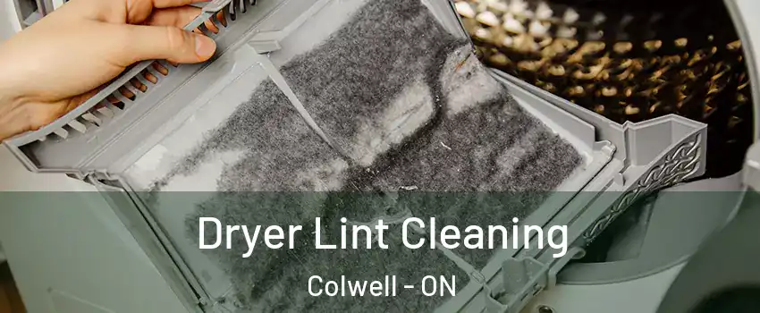  Dryer Lint Cleaning Colwell - ON