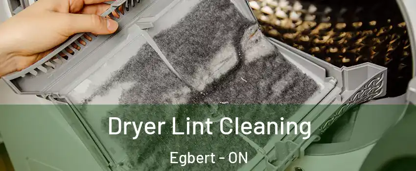  Dryer Lint Cleaning Egbert - ON