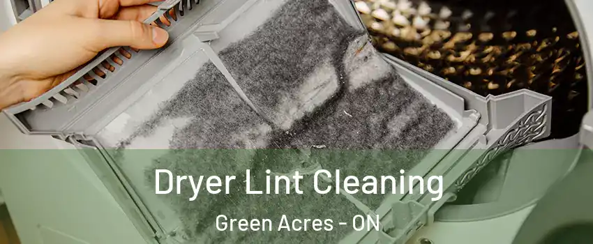 Dryer Lint Cleaning Green Acres - ON