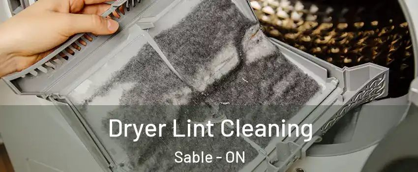  Dryer Lint Cleaning Sable - ON