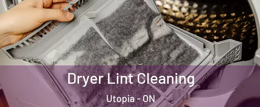  Dryer Lint Cleaning Utopia - ON