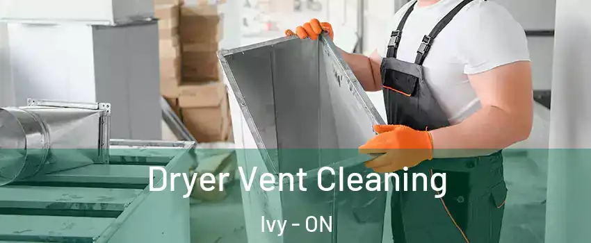  Dryer Vent Cleaning Ivy - ON