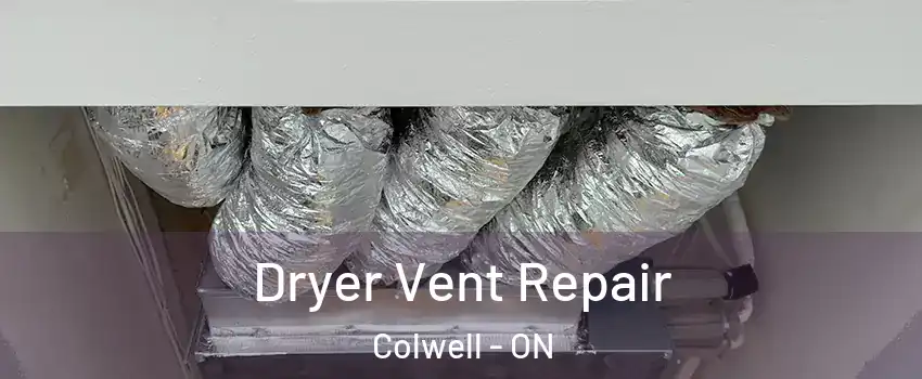  Dryer Vent Repair Colwell - ON