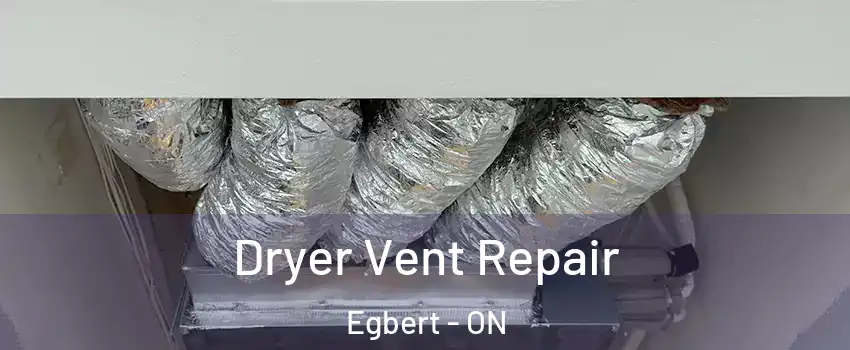  Dryer Vent Repair Egbert - ON