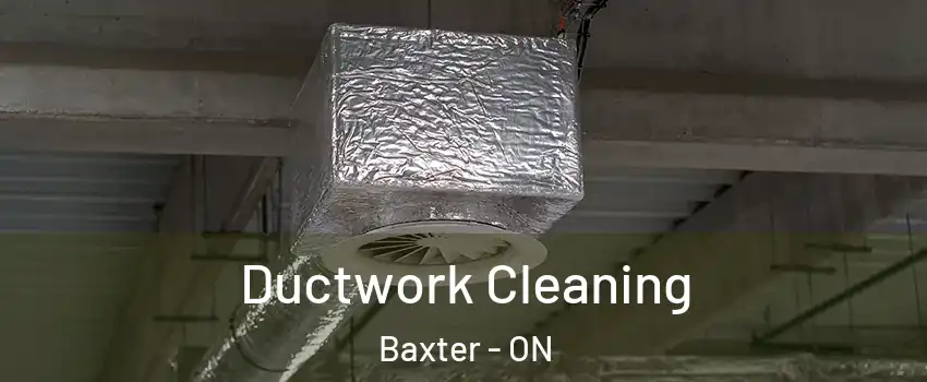  Ductwork Cleaning Baxter - ON