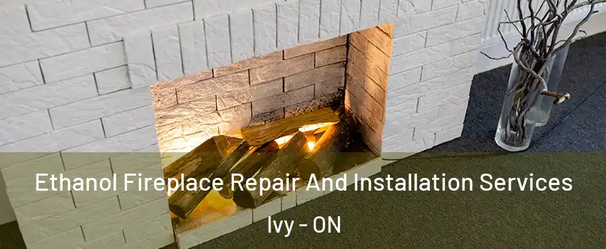  Ethanol Fireplace Repair And Installation Services Ivy - ON