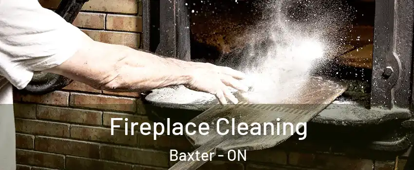  Fireplace Cleaning Baxter - ON