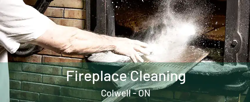  Fireplace Cleaning Colwell - ON