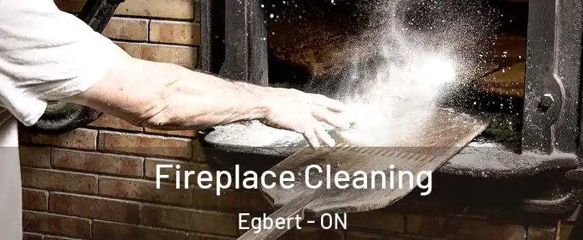  Fireplace Cleaning Egbert - ON