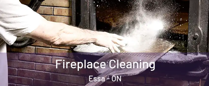  Fireplace Cleaning Essa - ON