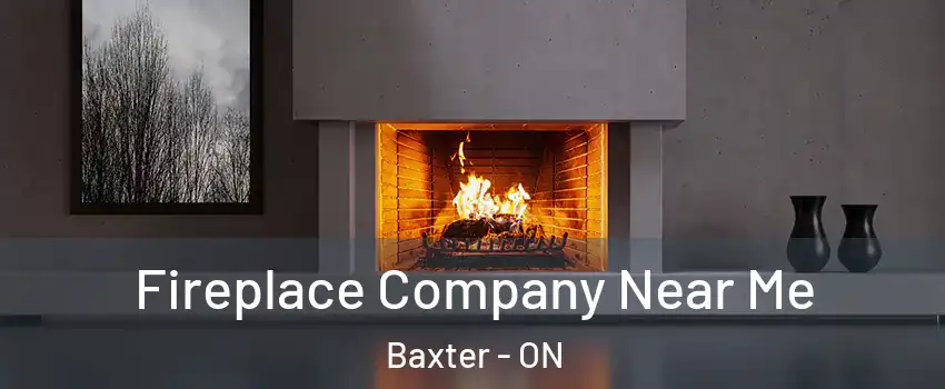  Fireplace Company Near Me Baxter - ON