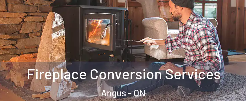  Fireplace Conversion Services Angus - ON