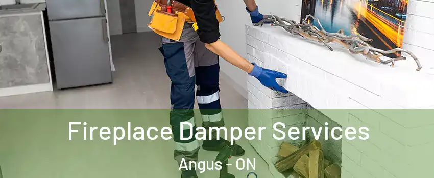  Fireplace Damper Services Angus - ON