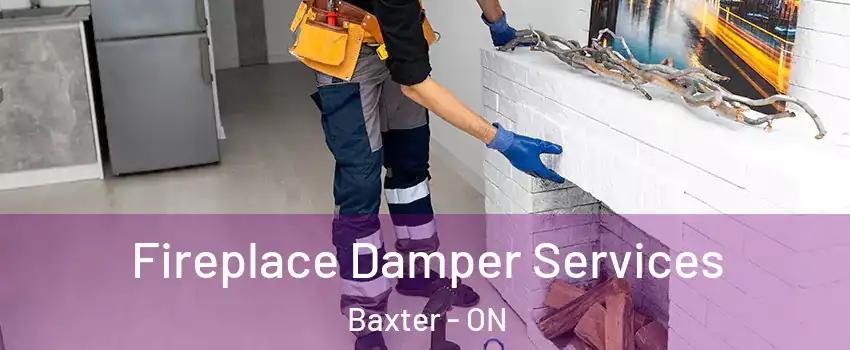  Fireplace Damper Services Baxter - ON