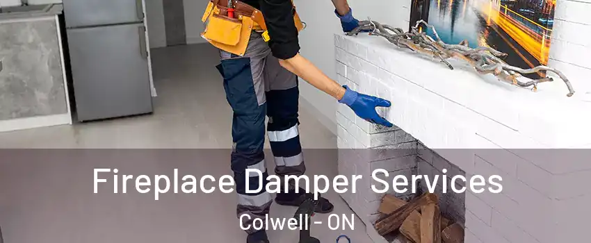  Fireplace Damper Services Colwell - ON