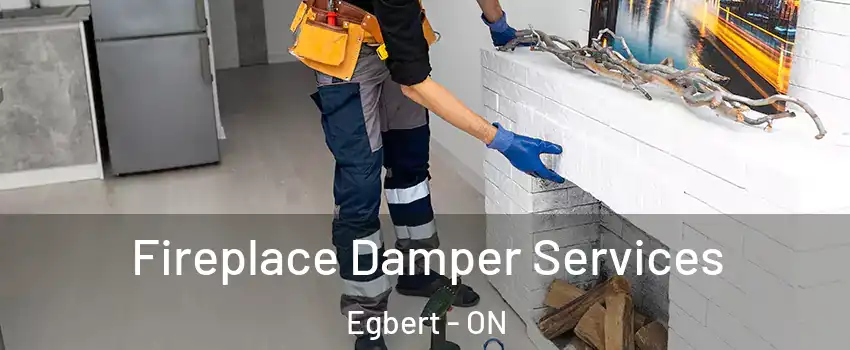  Fireplace Damper Services Egbert - ON