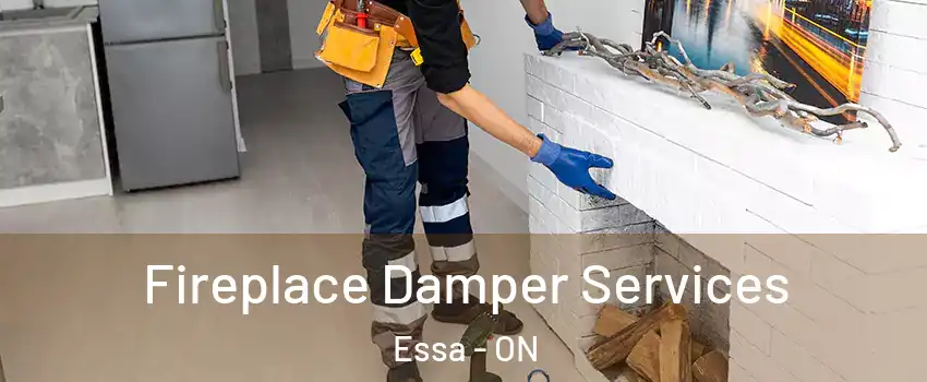  Fireplace Damper Services Essa - ON