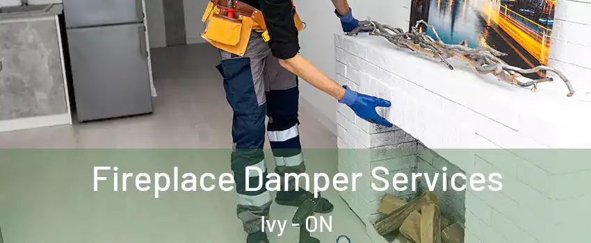  Fireplace Damper Services Ivy - ON