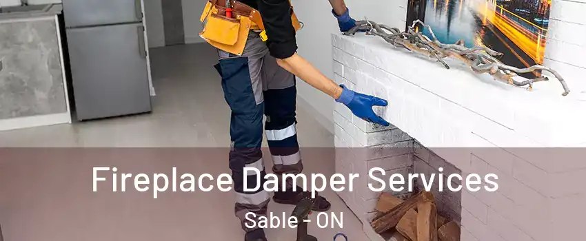  Fireplace Damper Services Sable - ON