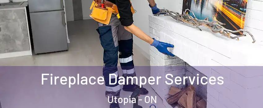  Fireplace Damper Services Utopia - ON