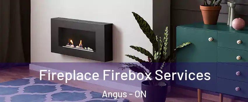  Fireplace Firebox Services Angus - ON