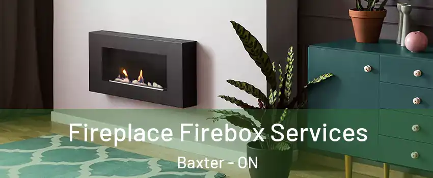  Fireplace Firebox Services Baxter - ON