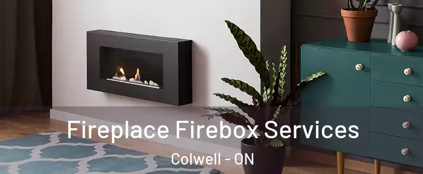  Fireplace Firebox Services Colwell - ON
