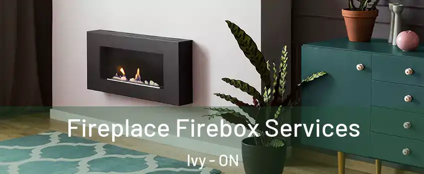  Fireplace Firebox Services Ivy - ON