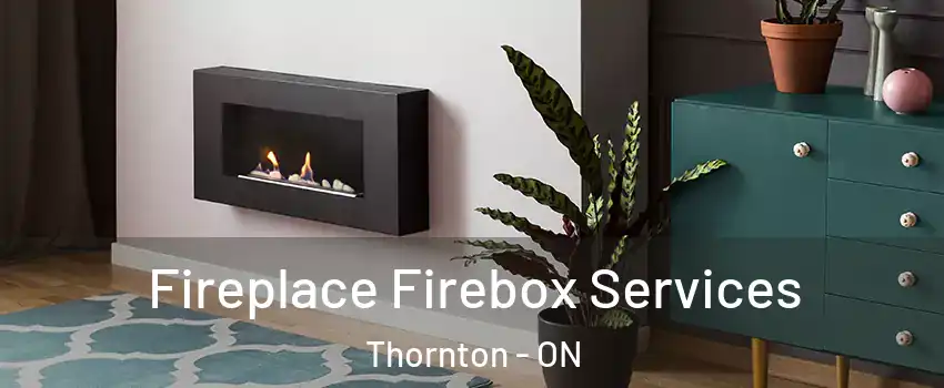  Fireplace Firebox Services Thornton - ON
