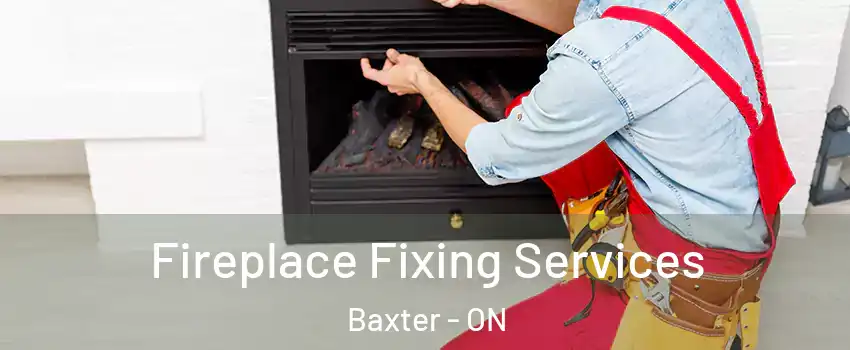  Fireplace Fixing Services Baxter - ON