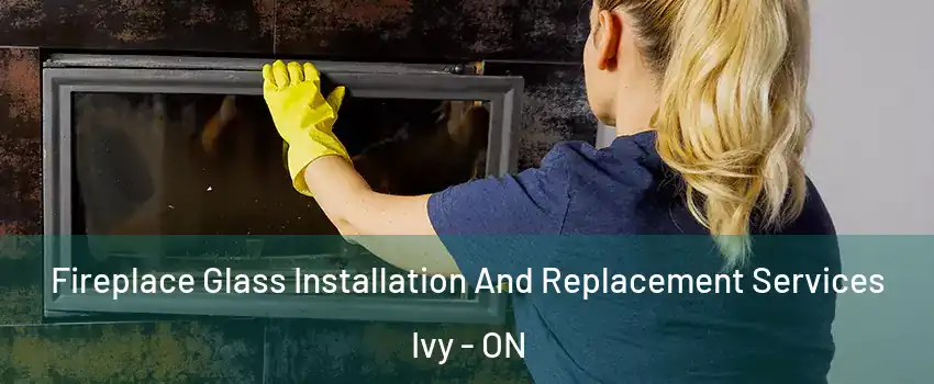  Fireplace Glass Installation And Replacement Services Ivy - ON
