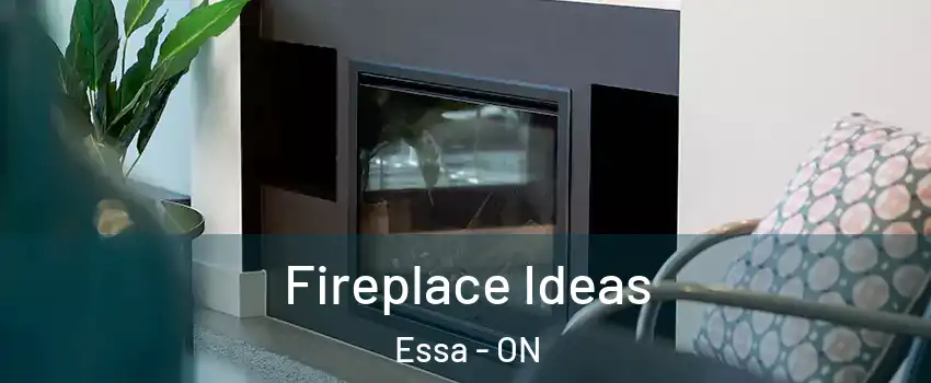  Fireplace Ideas Essa - ON