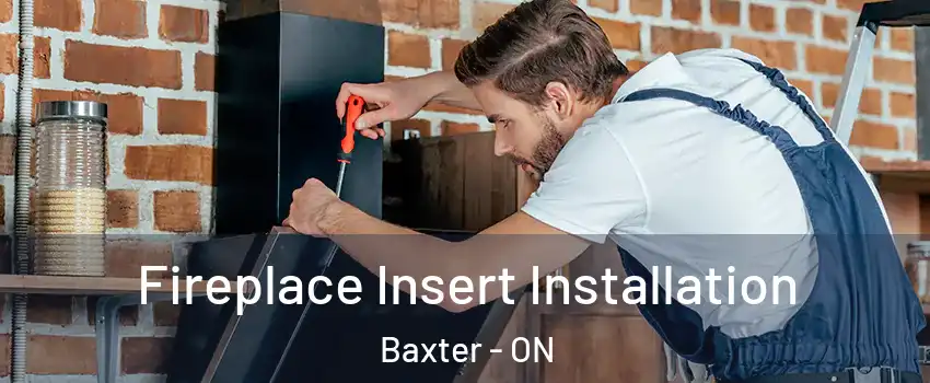  Fireplace Insert Installation Baxter - ON