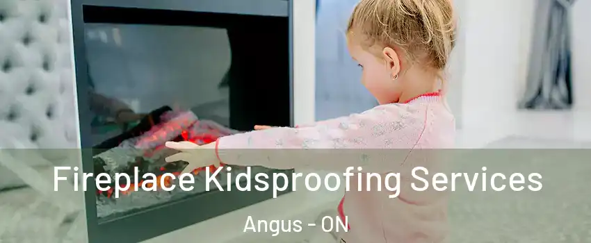  Fireplace Kidsproofing Services Angus - ON