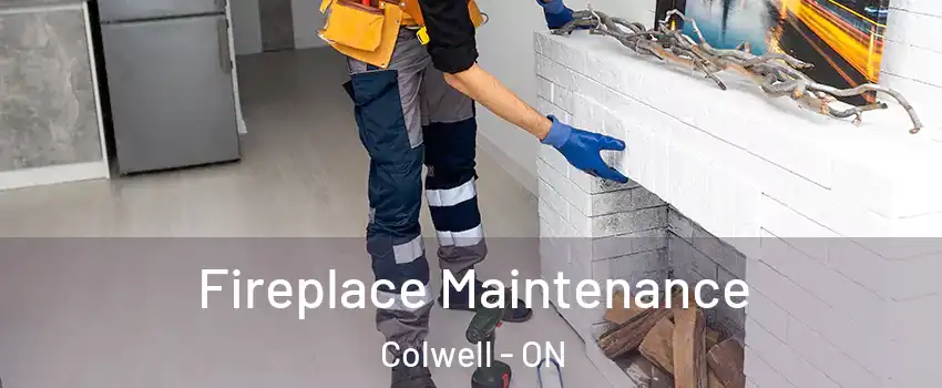  Fireplace Maintenance Colwell - ON