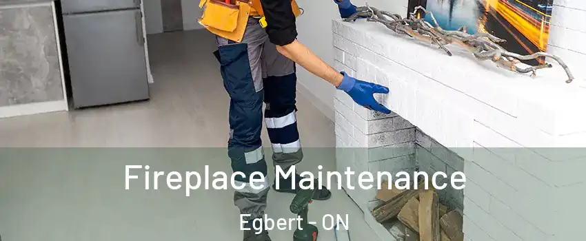  Fireplace Maintenance Egbert - ON