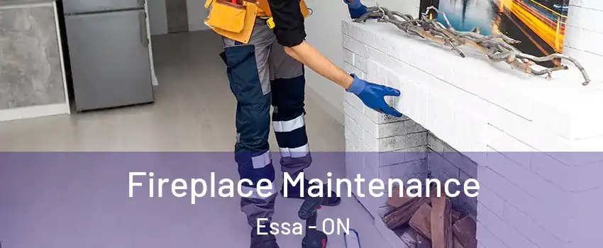  Fireplace Maintenance Essa - ON