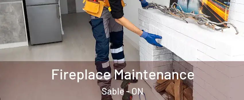  Fireplace Maintenance Sable - ON