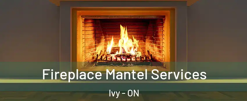 Fireplace Mantel Services Ivy - ON