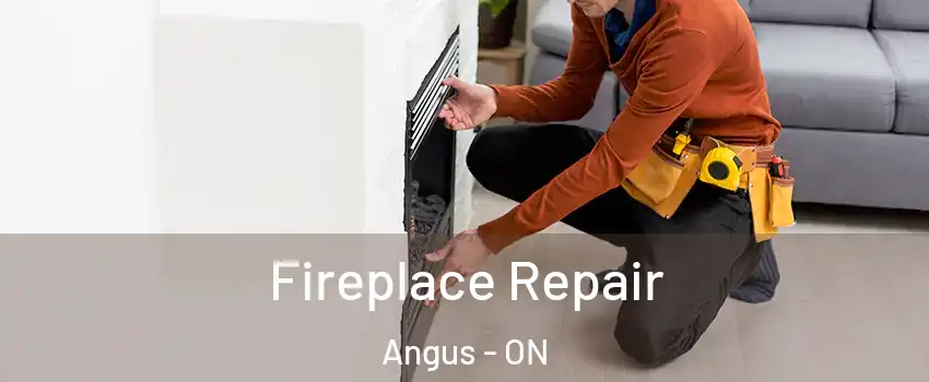  Fireplace Repair Angus - ON