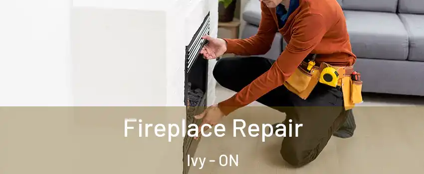  Fireplace Repair Ivy - ON