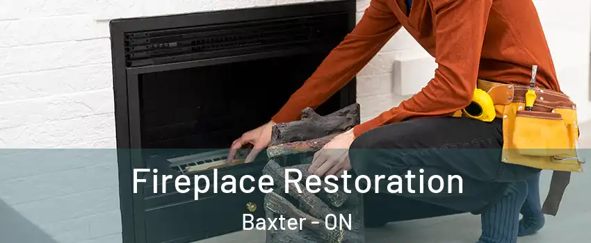  Fireplace Restoration Baxter - ON