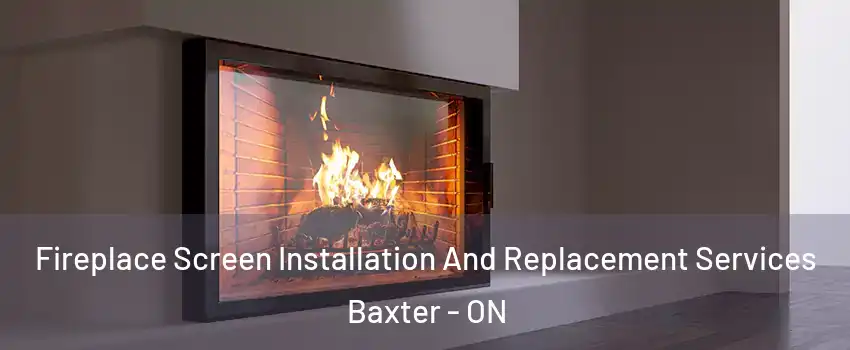  Fireplace Screen Installation And Replacement Services Baxter - ON