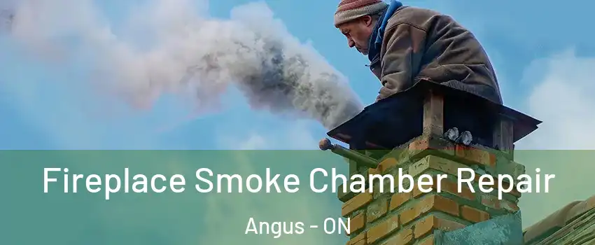  Fireplace Smoke Chamber Repair Angus - ON